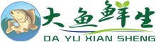 text-png-size